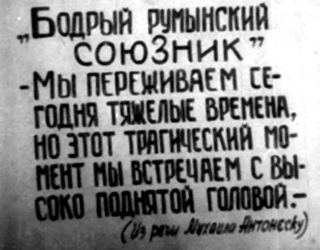 "Добрый румынский союзник"
- Мы переживаем сегодня тяжелые времена, но этот трагический момент мы встречаем с высоко поднятой головой. -
(Из речи Михаила Антонеску)