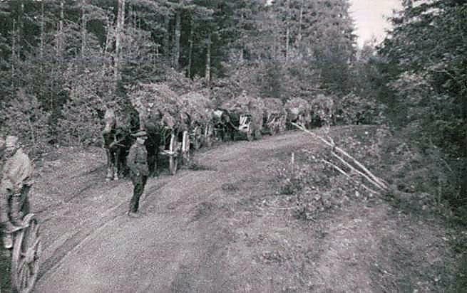 Фотоальбом  обзорный