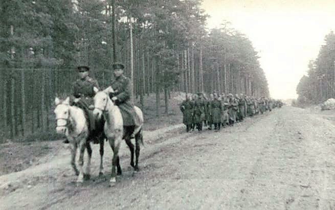 Фотоальбом  обзорный