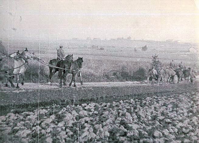 Фотоальбом  обзорный