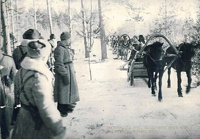 Фотоальбом  обзорный