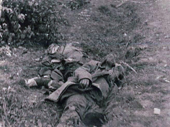 Фотоальбом  обзорный