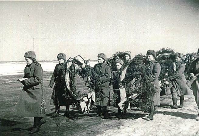 Фотоальбом  обзорный