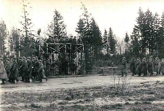 Фотоальбом  обзорный