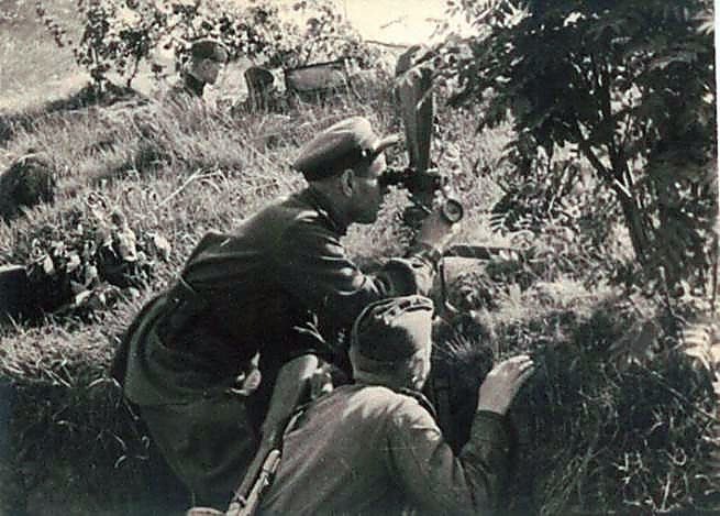 Фотоальбом  обзорный