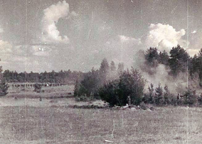 Фотоальбом  обзорный