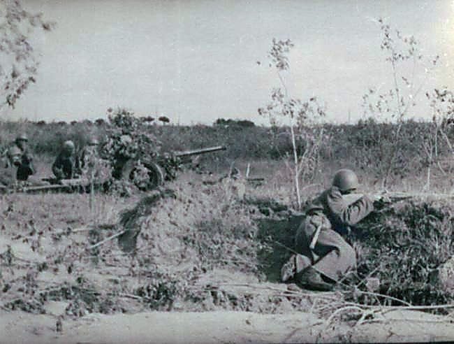 Фотоальбом  обзорный