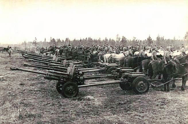 Фотоальбом  обзорный