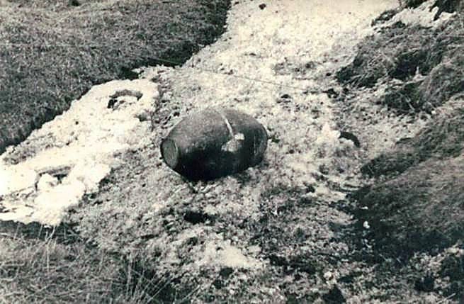 Фотоальбом  обзорный