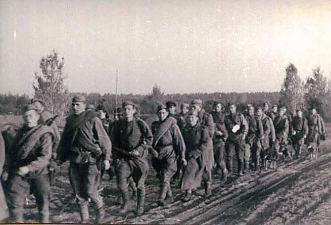 Фотоальбом  обзорный