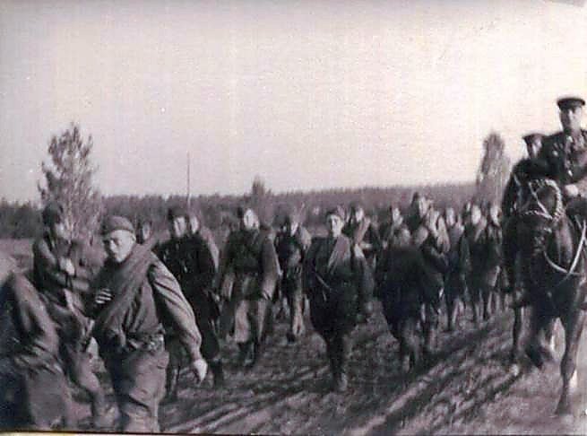 Фотоальбом  обзорный