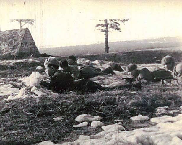 Фотоальбом  обзорный