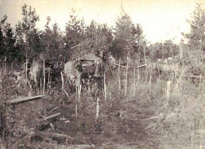 Фотоальбом  обзорный