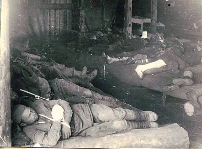 Фотоальбом  обзорный