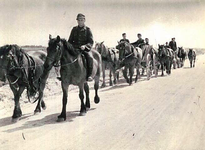 Фотоальбом  обзорный