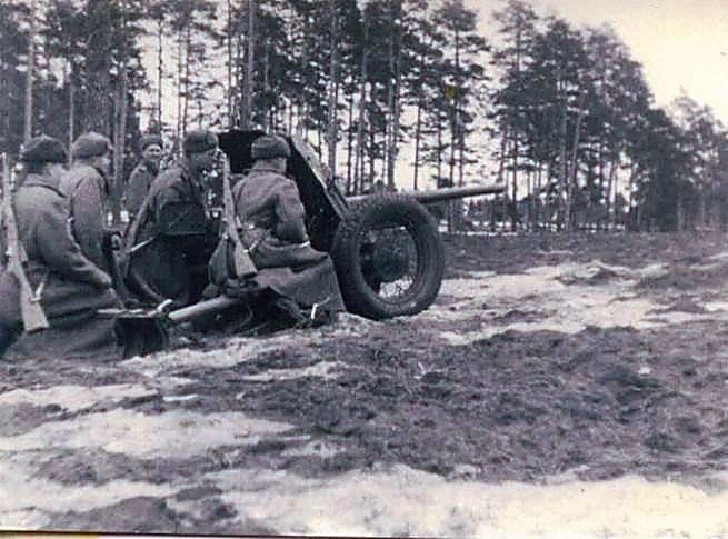 Фотоальбом  обзорный