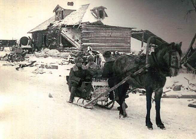 Фотоальбом  обзорный