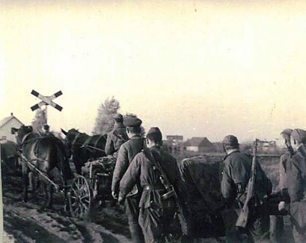 Фотоальбом  обзорный