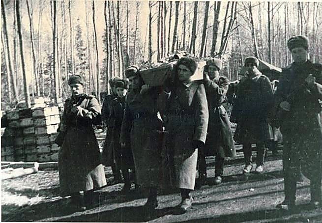 Фотоальбом  обзорный