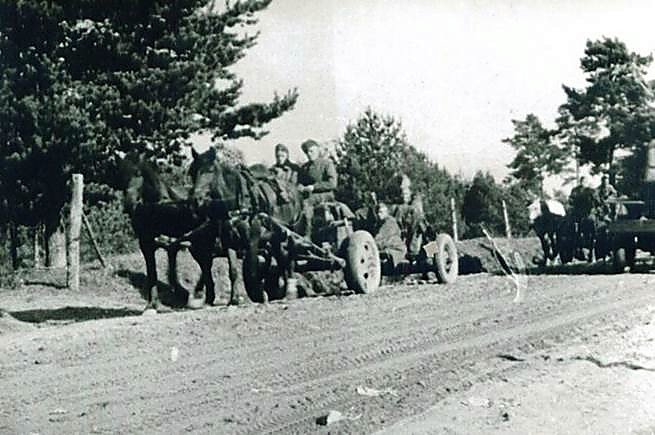 Фотоальбом  обзорный