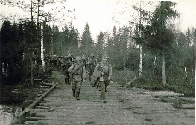 Фотоальбом  обзорный