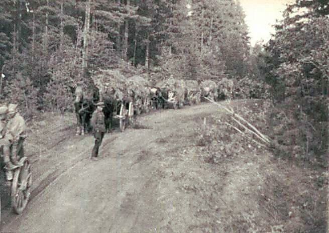 Фотоальбом  обзорный