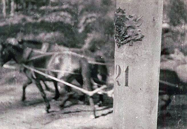 Фотоальбом  обзорный