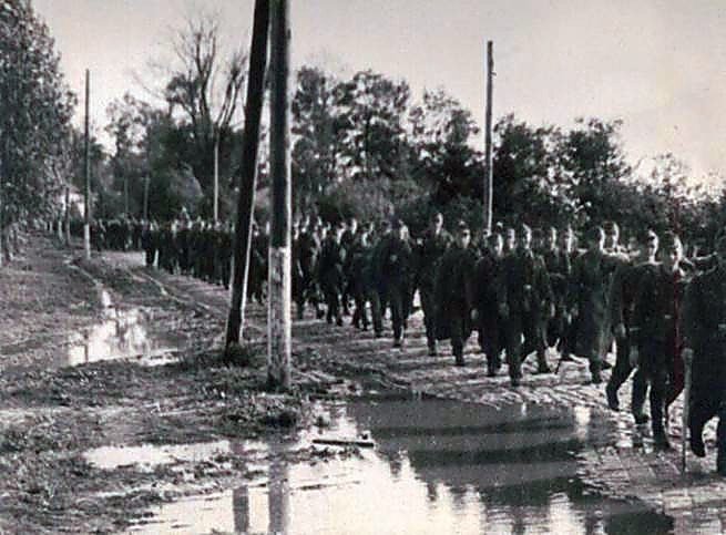 Фотоальбом  обзорный