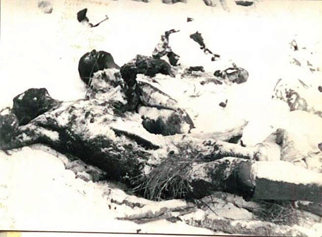 Фотоальбом  обзорный