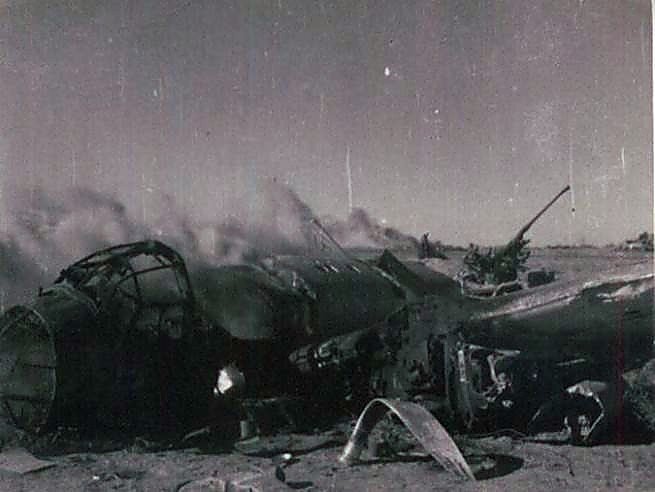 Фотоальбом  обзорный