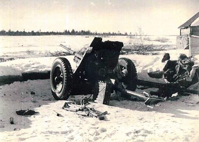 Фотоальбом  обзорный