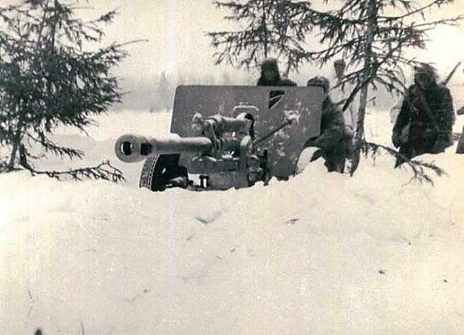 Фотоальбом  обзорный