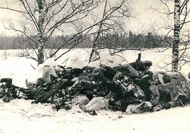 Фотоальбом  обзорный