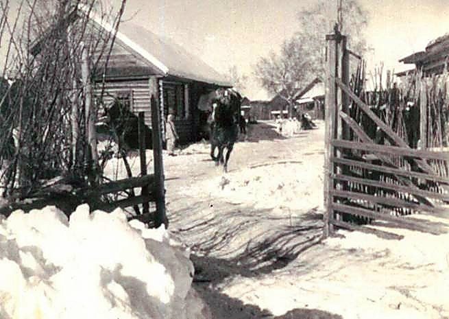 Фотоальбом  обзорный