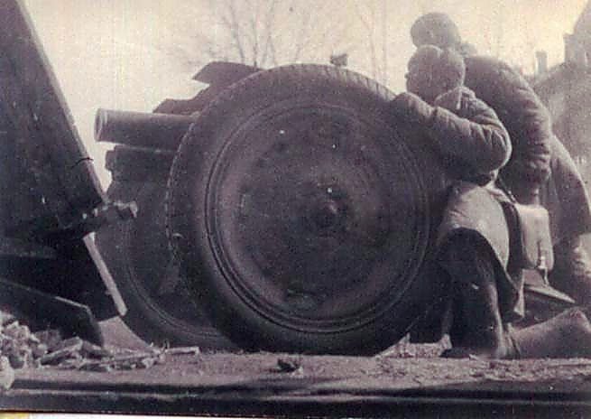 Фотоальбом  обзорный