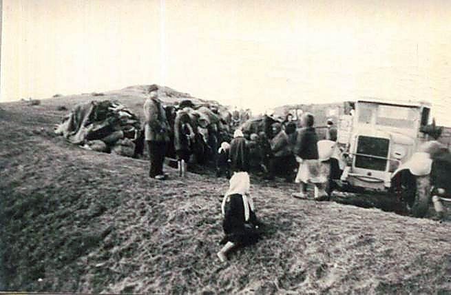 Фотоальбом  обзорный