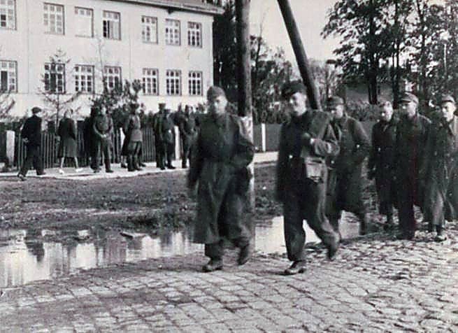 Фотоальбом  обзорный