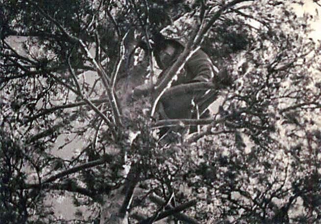 Фотоальбом  обзорный