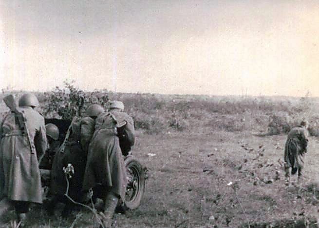 Фотоальбом  обзорный