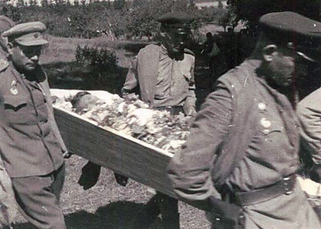 Фотоальбом  обзорный