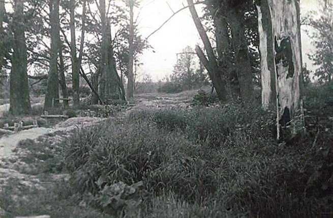 Фотоальбом  обзорный