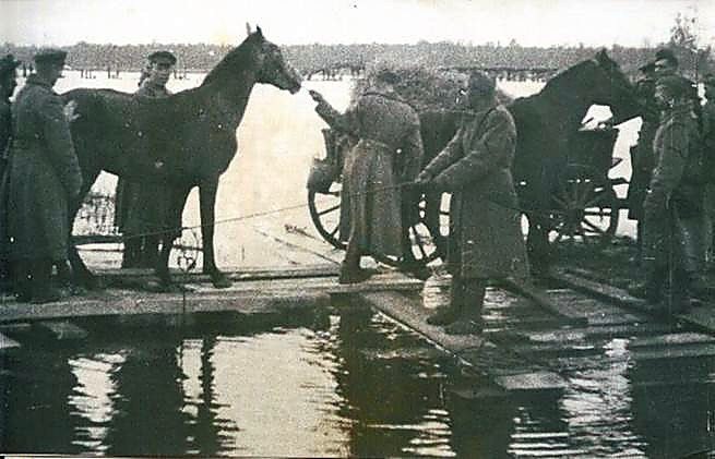 Фотоальбом  обзорный