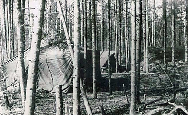 Фотоальбом  обзорный