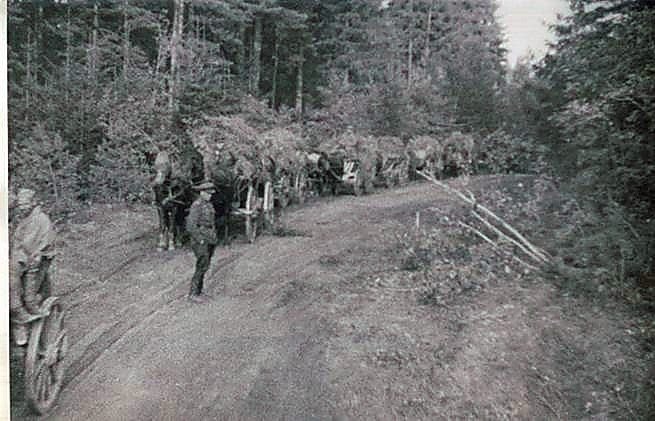 Фотоальбом  обзорный