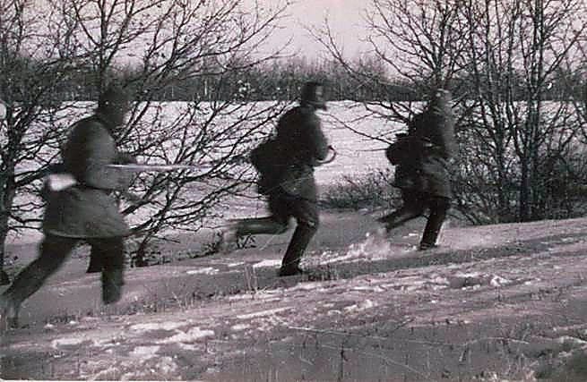 Фотоальбом  обзорный