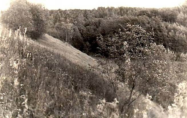 Фотоальбом  обзорный