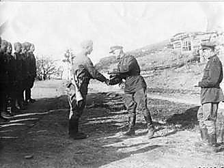 Фотоальбом  обзорный