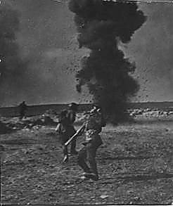 Фотоальбом  обзорный