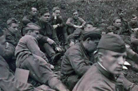 Фотоальбом  обзорный 1