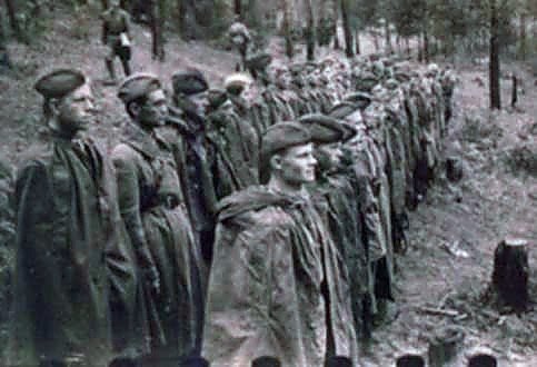 Фотоальбом  обзорный 1